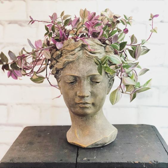 Ini dia! Prediksi Tren Tumbuhan di Tahun 2020