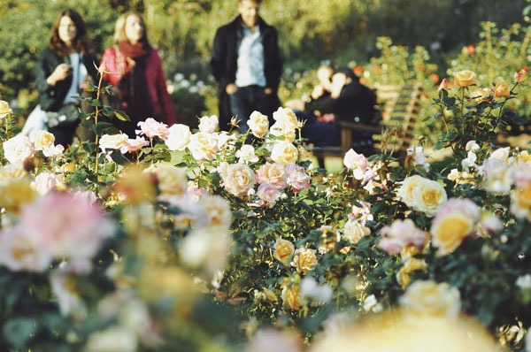 Queen Mary’s Garden