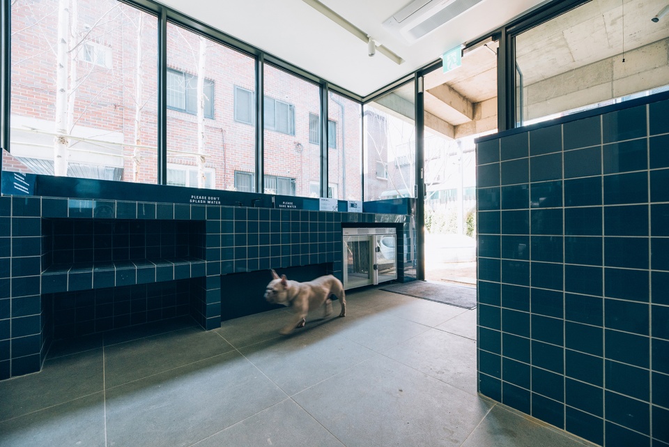 Kamar mandi umum untuk peliharaan milik tenant / Lee Jieung