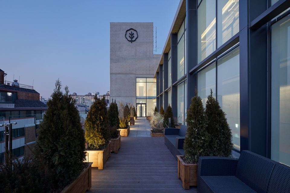 Teras di lantai enam / Rohspace