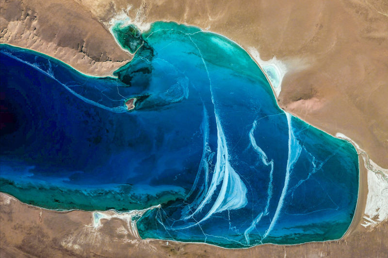 Perusahaan Teknologi ini Rilis Ribuan Lukisan Indah