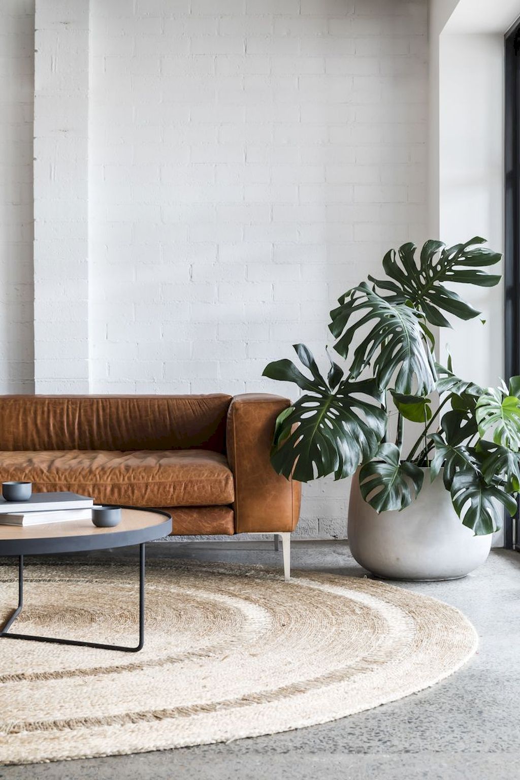 Ini dia! Tanaman Hias yang Cocok untuk Ruang Tamu Anda