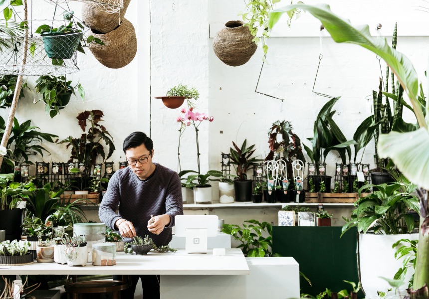 Lakukan Ini Sebelum Membeli Tanaman Hias Pertama Anda!