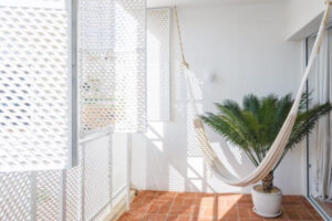 Ini Dia! Tip Merawat Tanaman Hias untuk Pemula