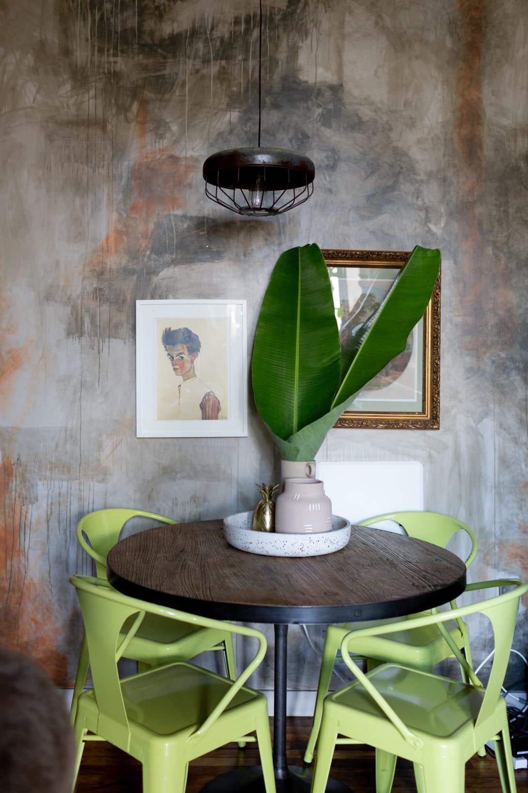 Ini Dia! Tip Merawat Tanaman Hias untuk Pemula