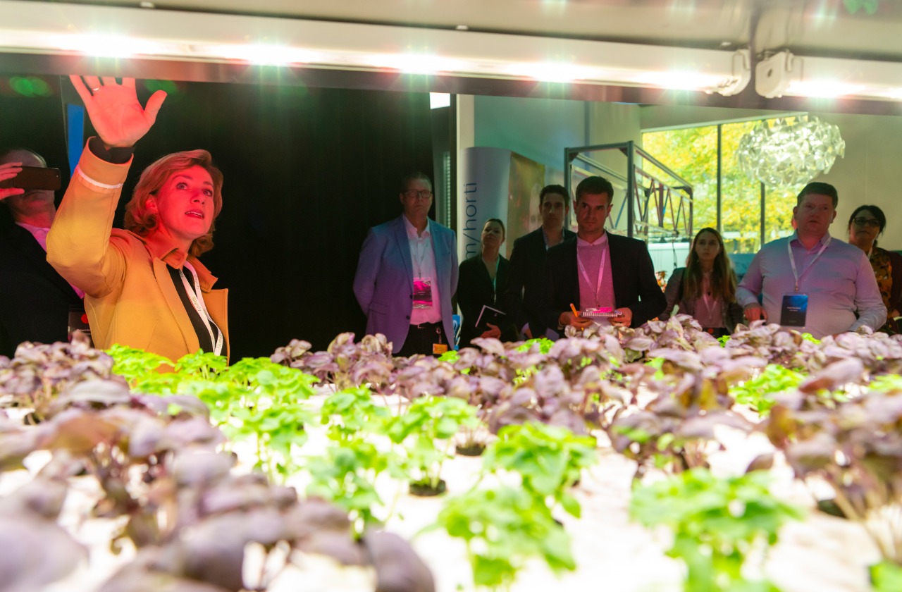 Signify Berhasil Lampaui Target 2020 di Tahun 2019