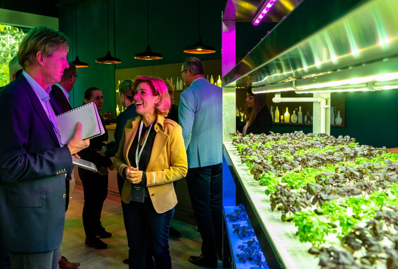 Signify Berhasil Lampaui Target 2020 di Tahun 2019