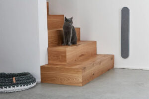 Pecinta Kucing Pasti Mau Beli 3 Produk Gemas ini