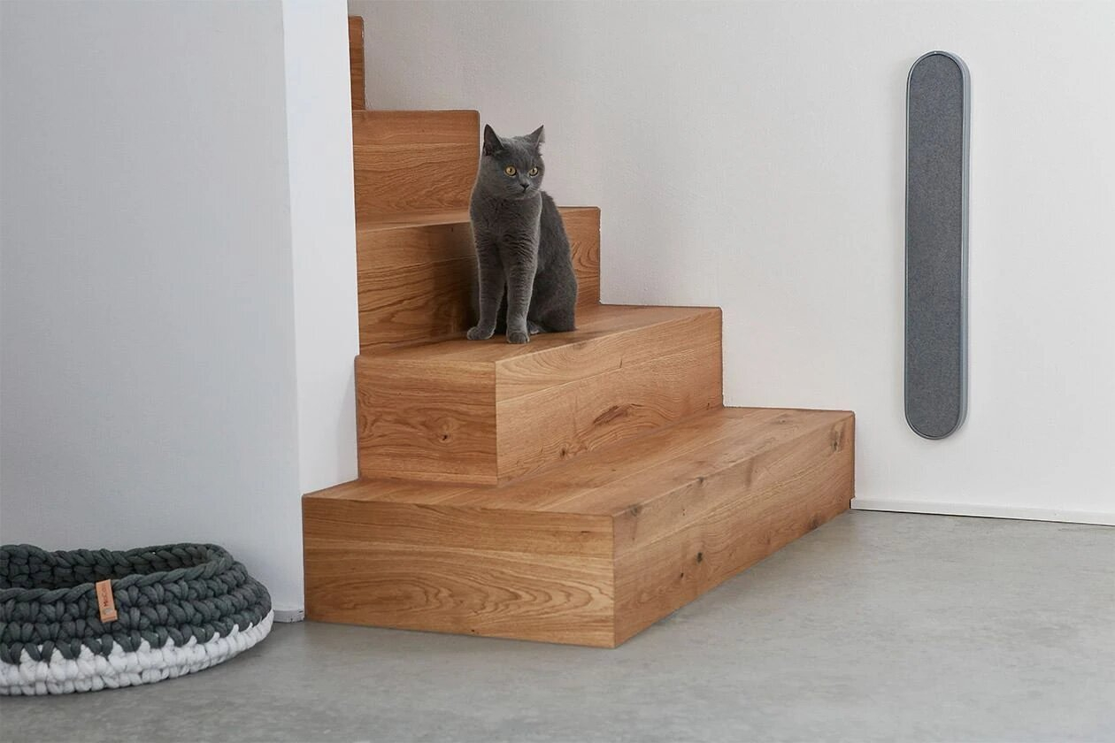 Pecinta Kucing Pasti Mau Beli 3 Produk Gemas ini