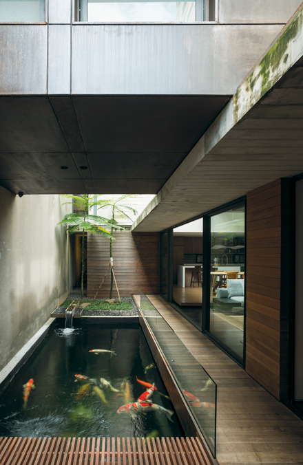 5 Tips Merawat Kolam Ikan Outdoor di Rumah Minimalis