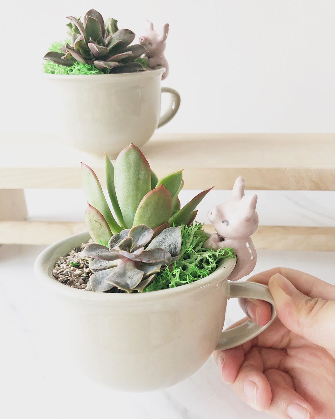 Produk Menggemaskan yang Buat Rumah Terlihat Ceria