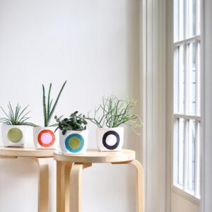 10 Produk Menggemaskan yang Buat Rumah Terlihat Ceria