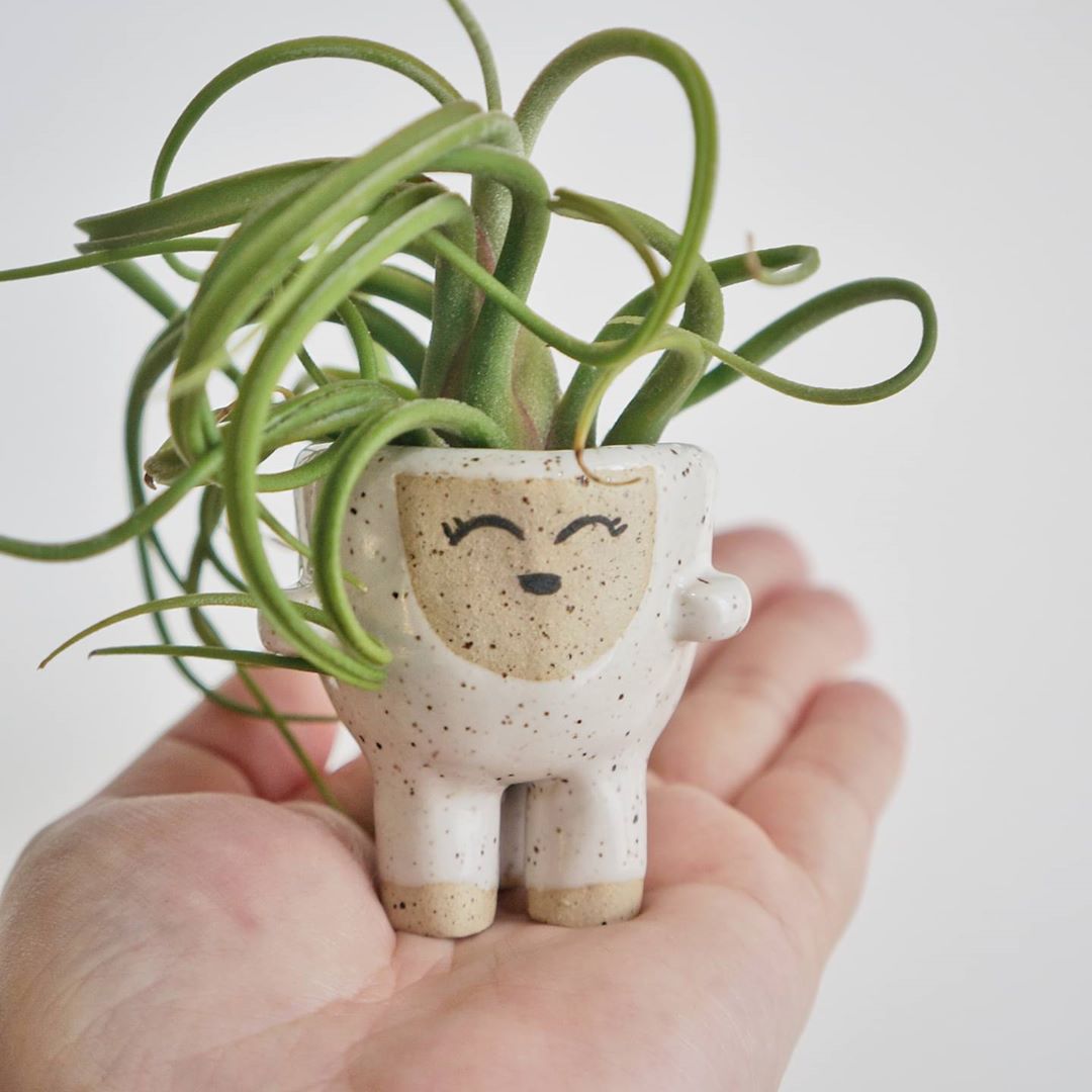 Produk Menggemaskan yang Buat Rumah Terlihat Ceria