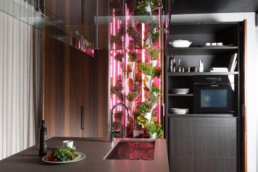 Kulkas Hidroponik untuk Hidup Lebih Sehat