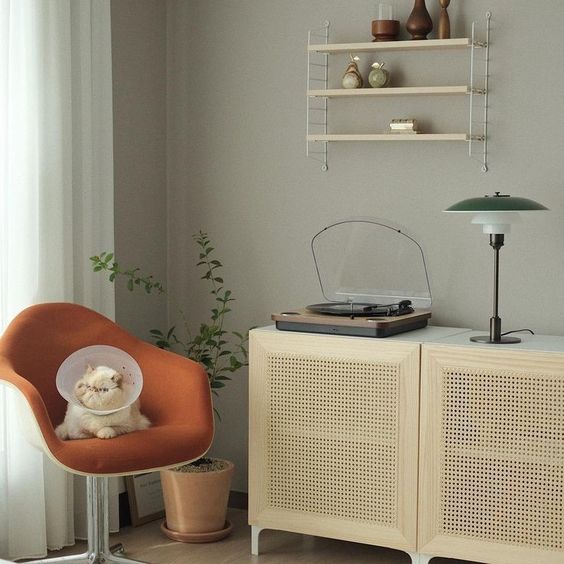 Ruang Tamu Kecil Namun Tetap Bisa Bersantai di Rumah / Georgiana