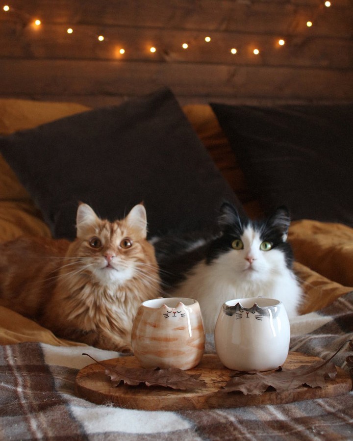 Produk Menggemaskan yang Buat Rumah Terlihat Ceria