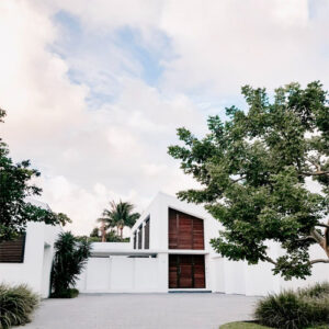 Manfaat Tanam Pohon Rindang, Bisa Buat Rumah Lebih Asri