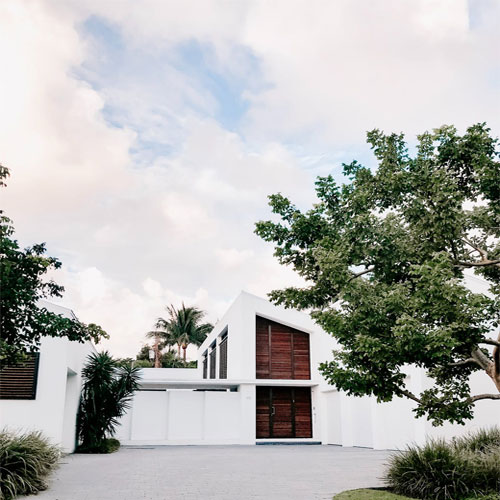 Manfaat Tanam Pohon Rindang, Bisa Buat Rumah Lebih Asri