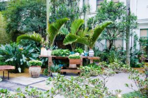 Asri! 5 Tanaman Hias yang Bisa Ditanam di Depan Rumah