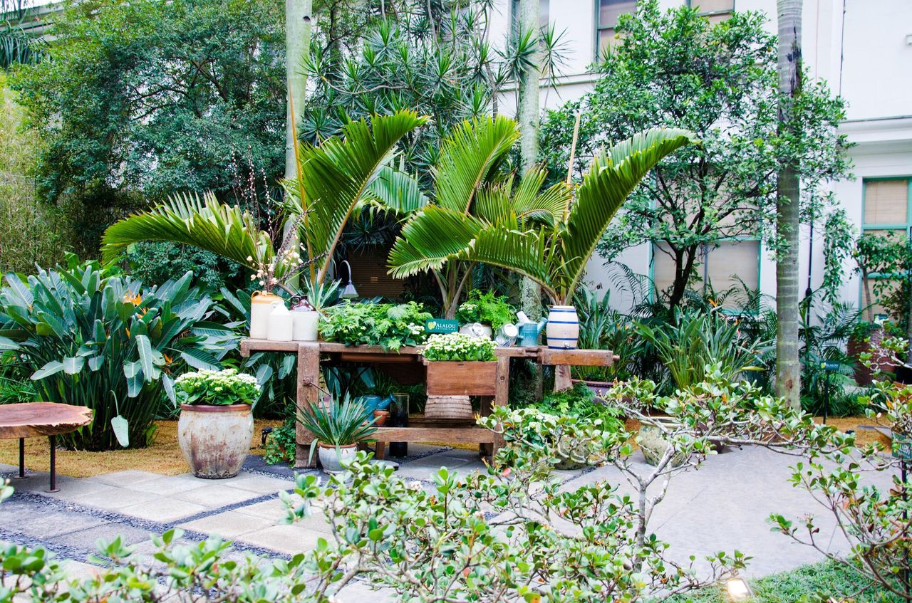 Asri! 5 Tanaman Hias yang Bisa Ditanam di Depan Rumah