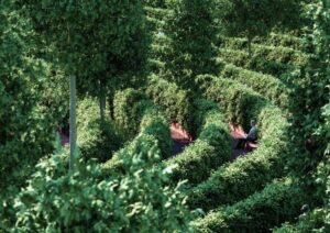 Yuk Intip Desain Taman untuk Social Distancing!