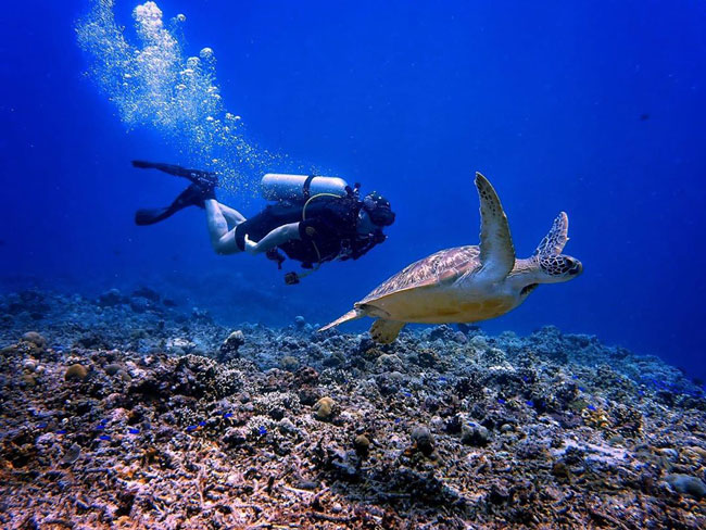 Diving di Gili Trawangan