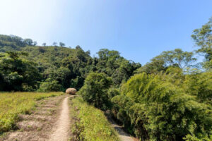 Seniman Taiwan Ini Lestarikan Tradisi Budaya Agrikultur