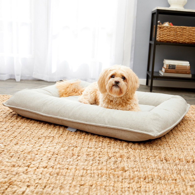 Manjakan Anjing dan Kucing Anda dengan 6 Produk Ini / Chewy 6