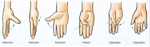 Banyak Kerja di Laptop? Lakukan 10 Olahraga Tangan Ini