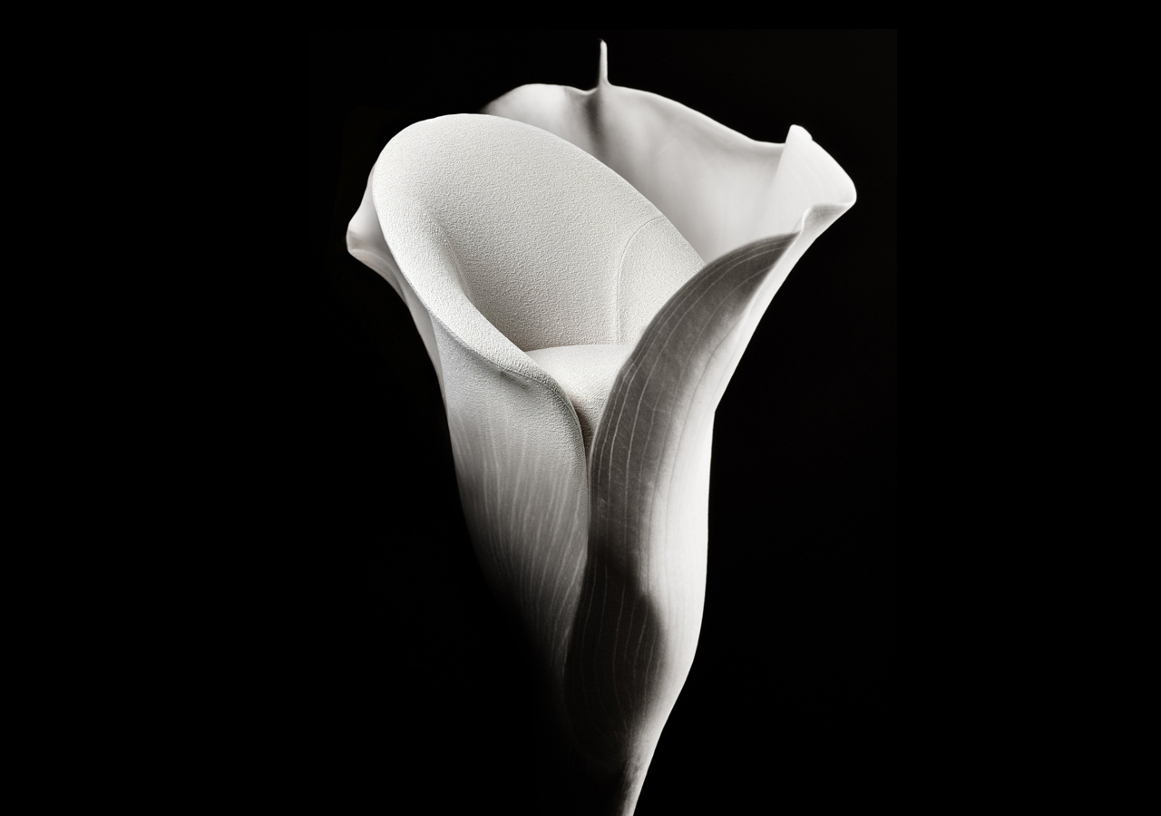 Bentuk Armchair Elegan Ini Menyerupai Bunga Lili?