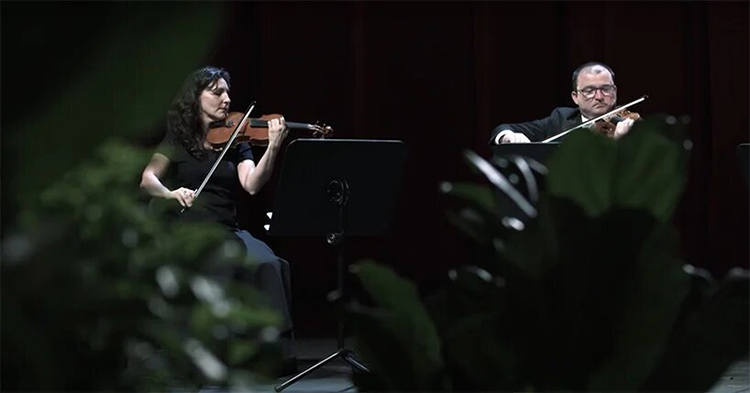 2.292 Tanaman Jadi Penonton Konser Di Barcelona