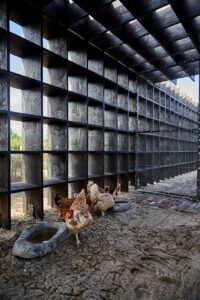 Kandang Ayam Rancangan Kengo Kuma, Bagaimana Bentuknya?