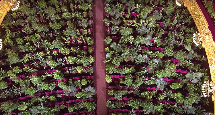 2.292 Tanaman Jadi Penonton Konser Di Barcelona