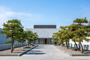 Resort Ini Menjadi Rumah Baru Hutan Berusia 1000 Tahun