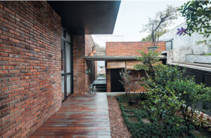 6 Tips Sederhana untuk Anda yang Ingin Berkebun