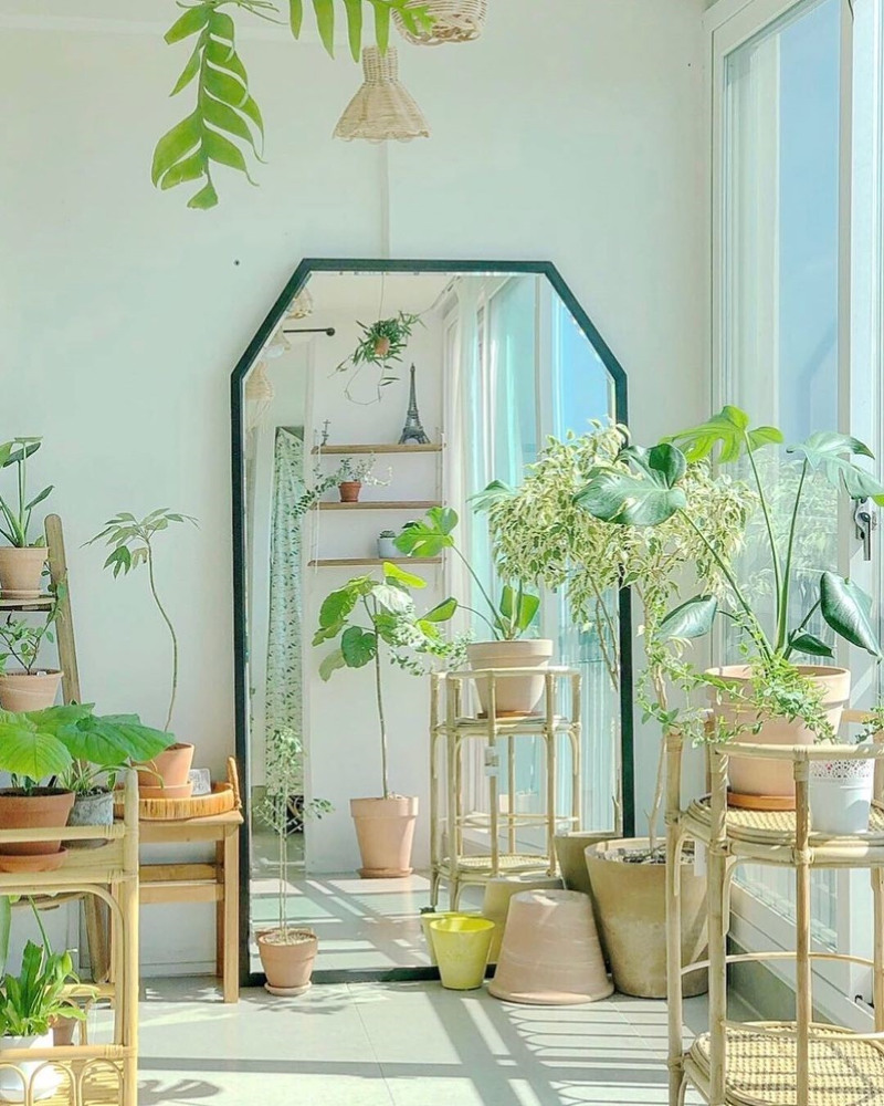 Rela Beli Walau Mahal! Ini Produk Idaman Tiap Zodiak 9