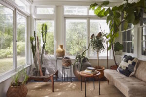 Pertama Kali Memilih Tanaman Hias? Simak Menurut Zodiak