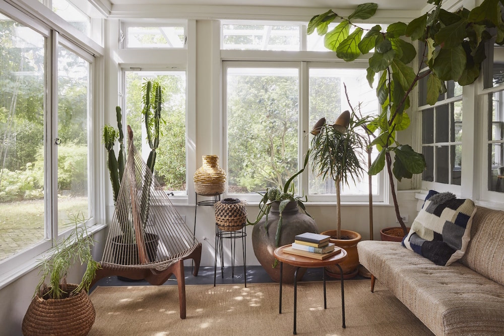 Pertama Kali Memilih Tanaman Hias? Simak Menurut Zodiak