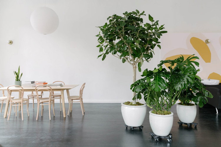 Seperti Apa Interior Salon Social Distancing Ini?