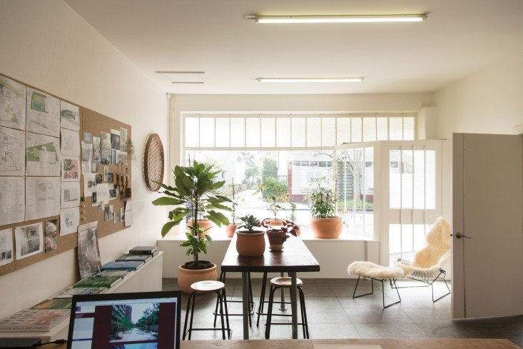 Pertama Kali Memilih Tanaman Hias? Simak Menurut Zodiak