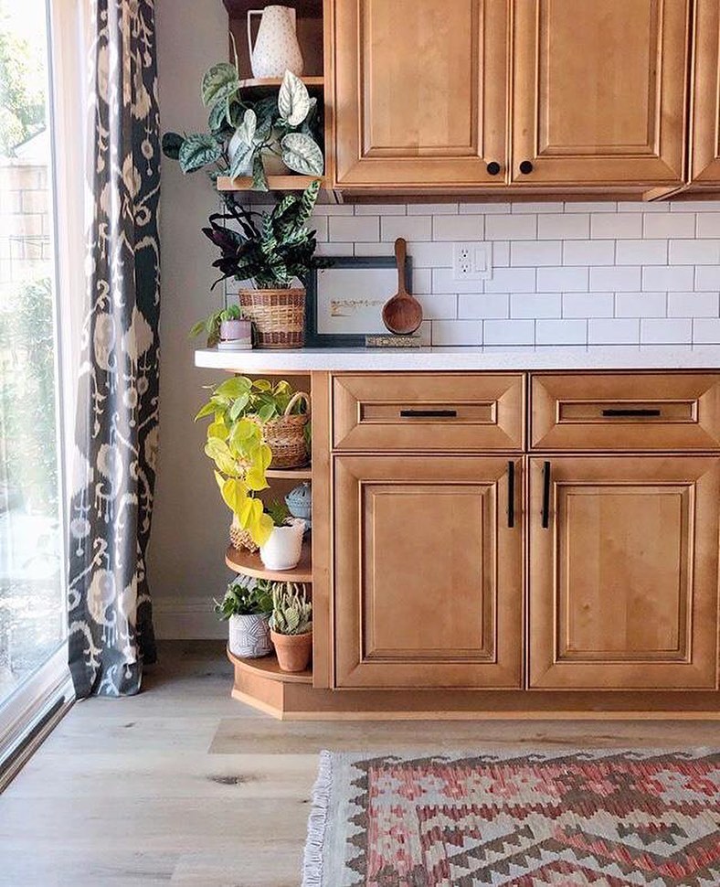 15 Tips Membersihkan Rumah agar Bebas Virus CASA Indonesia 2