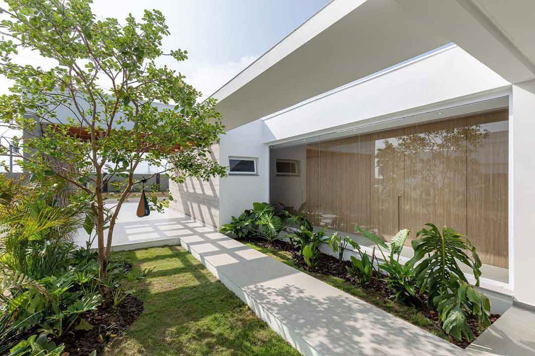 6 Jenis Rumput Hias untuk Mempercantik Taman Rumah