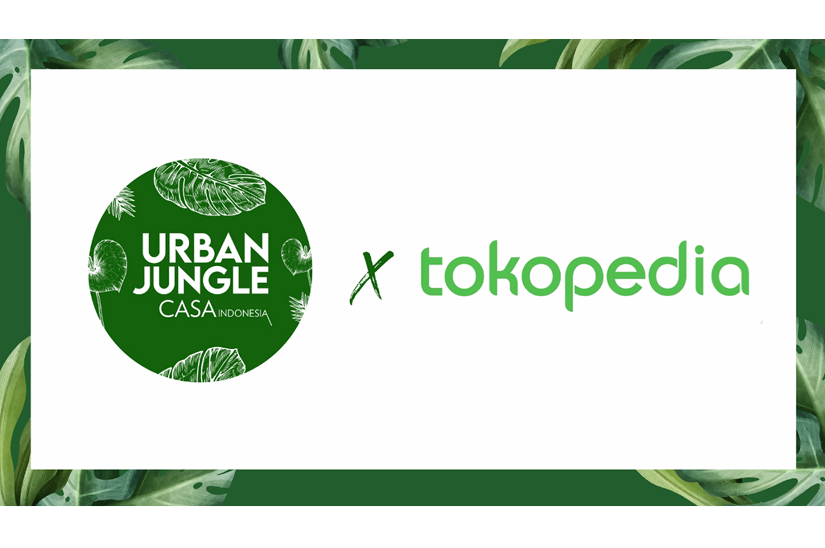 Diskon Langka untuk Tanaman Hias Hanya Di Urban Jungle!