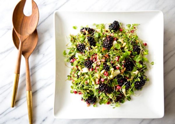 Ingin Menanam Microgreen Simak Cara dan Kebutuhannya CASA Indonesia 1