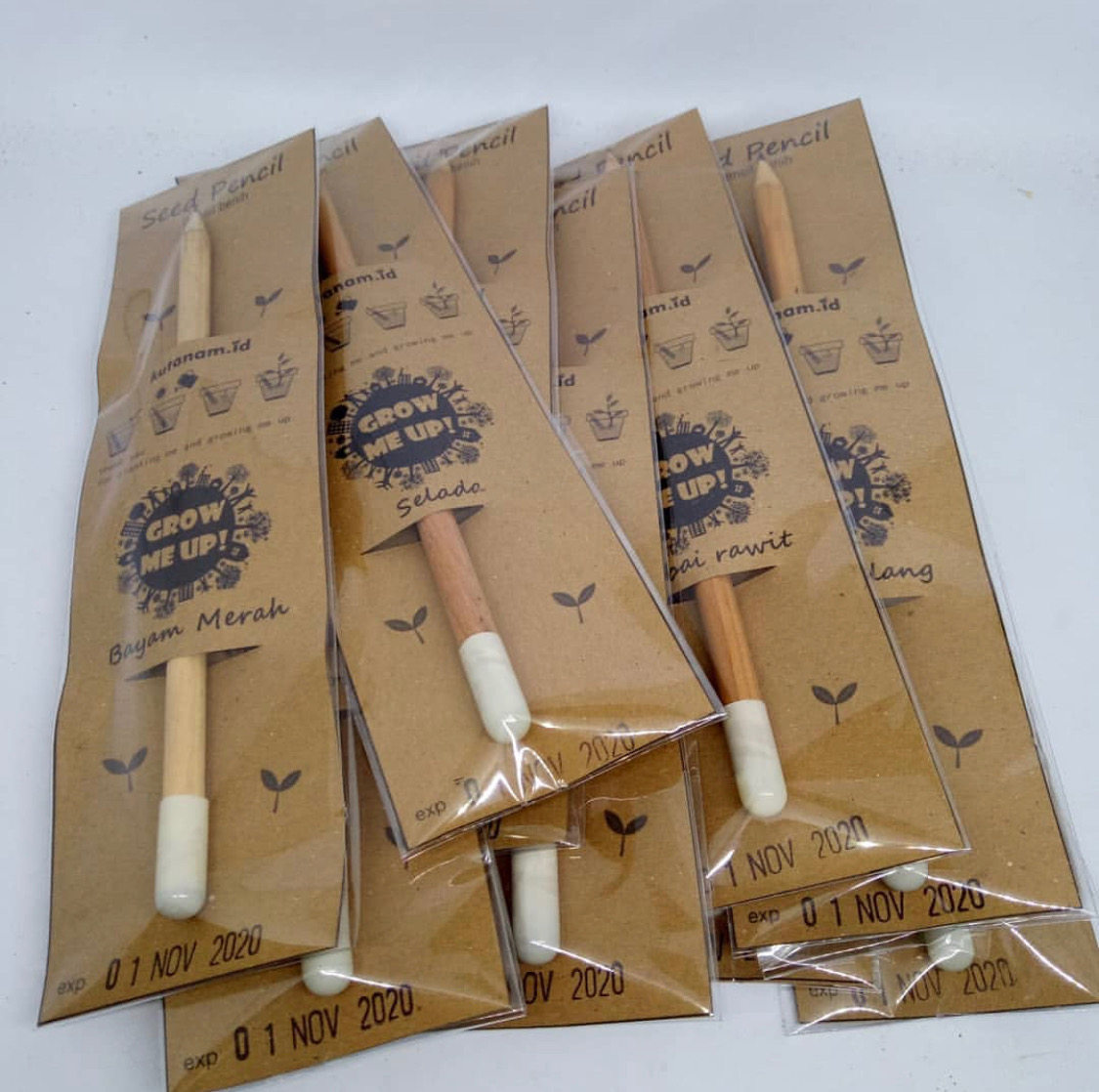 Hobi Dekor Tanaman Cek Produk Cantik di Urban Jungle CASA Indonesia 4