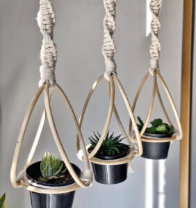 Hobi Dekor Tanaman? Cek Produk Cantik di Urban Jungle!