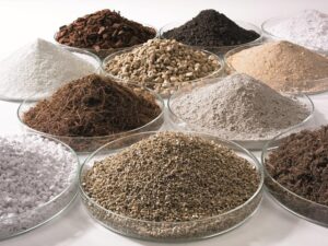 Kenali Media Tanam sebelum Ikut Tren Tanaman Hias!