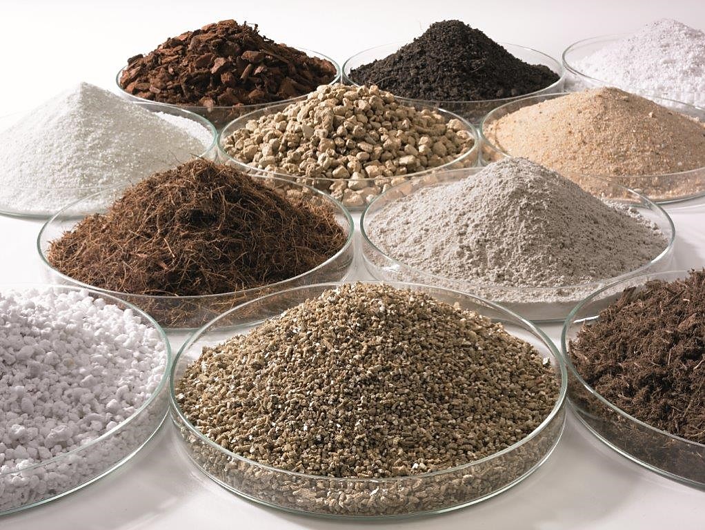 Kenali Media Tanam sebelum Ikut Tren Tanaman Hias!