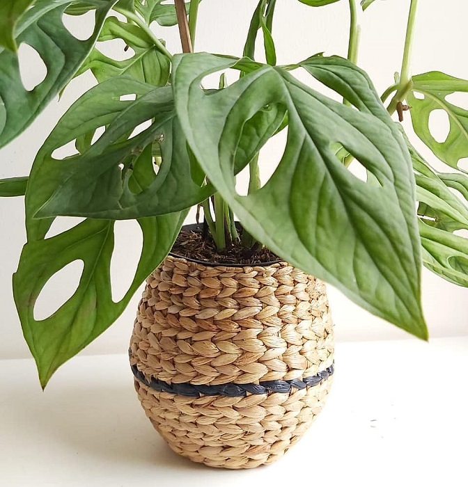 Dekor Rustik di Rumah Modern 5 Produk Ini Wajib Ada 3