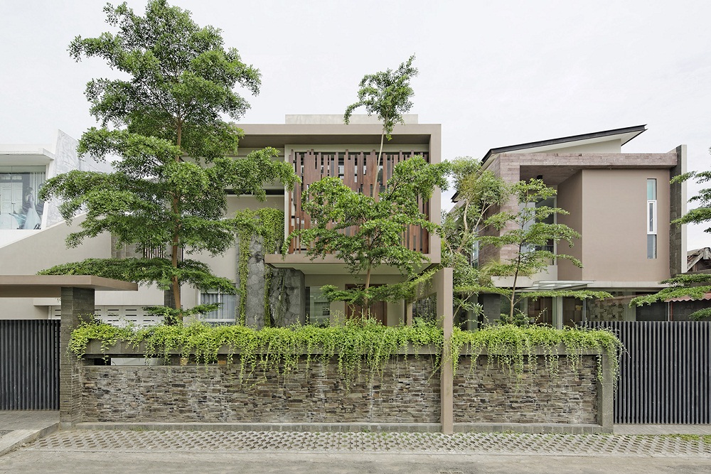 Segar Banget! Intip Tanaman untuk Pagar Rumah Anda